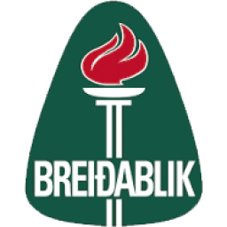 雷克雅未克维京古尔